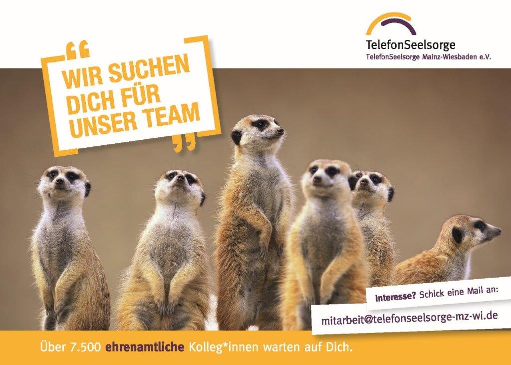 Telefonseelsorge Erdmännchen