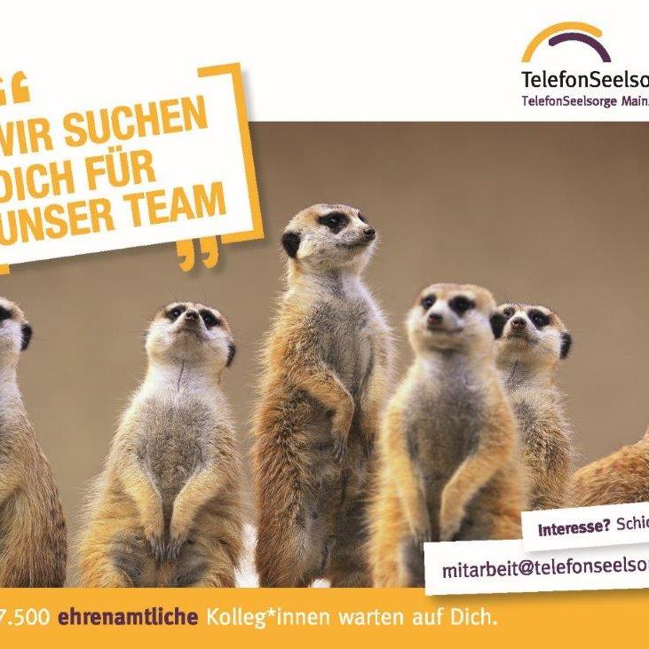 Telefonseelsorge Erdmännchen