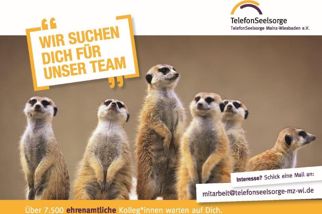 Telefonseelsorge Erdmännchen
