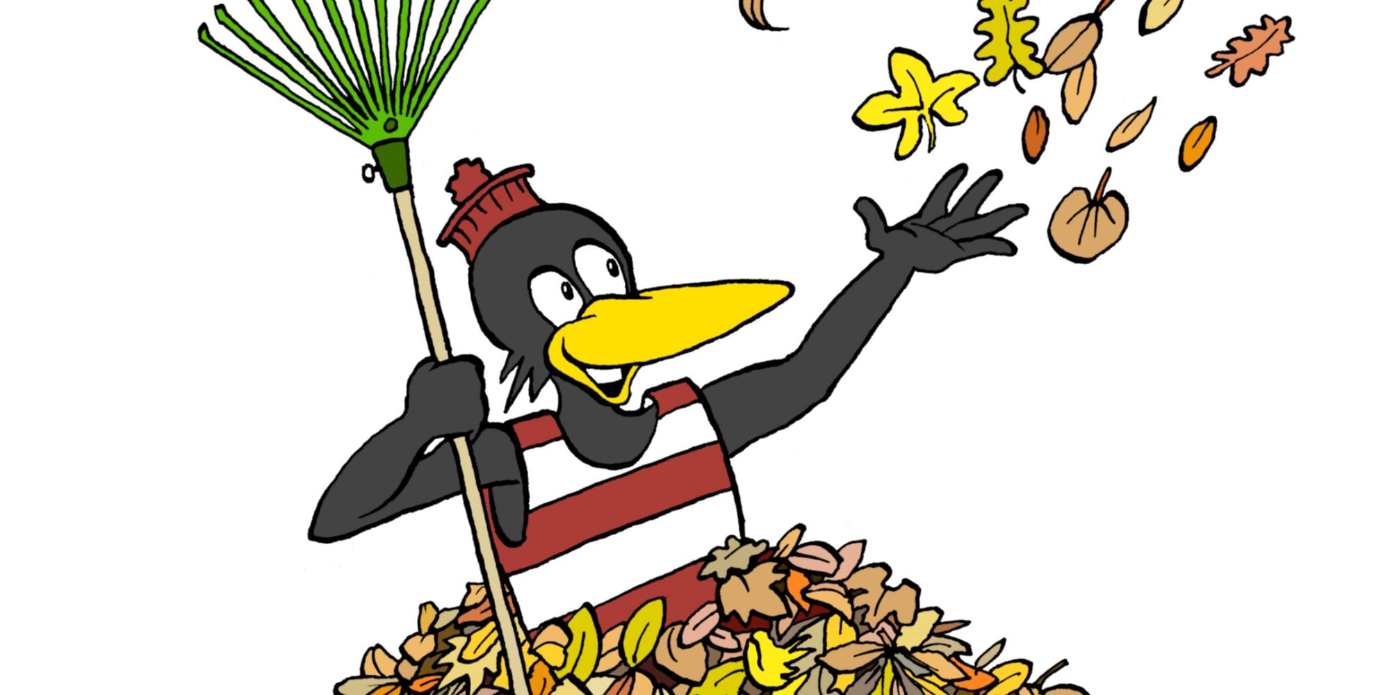 Fridolin_2024_Herbstlaub_4c_weissohne
