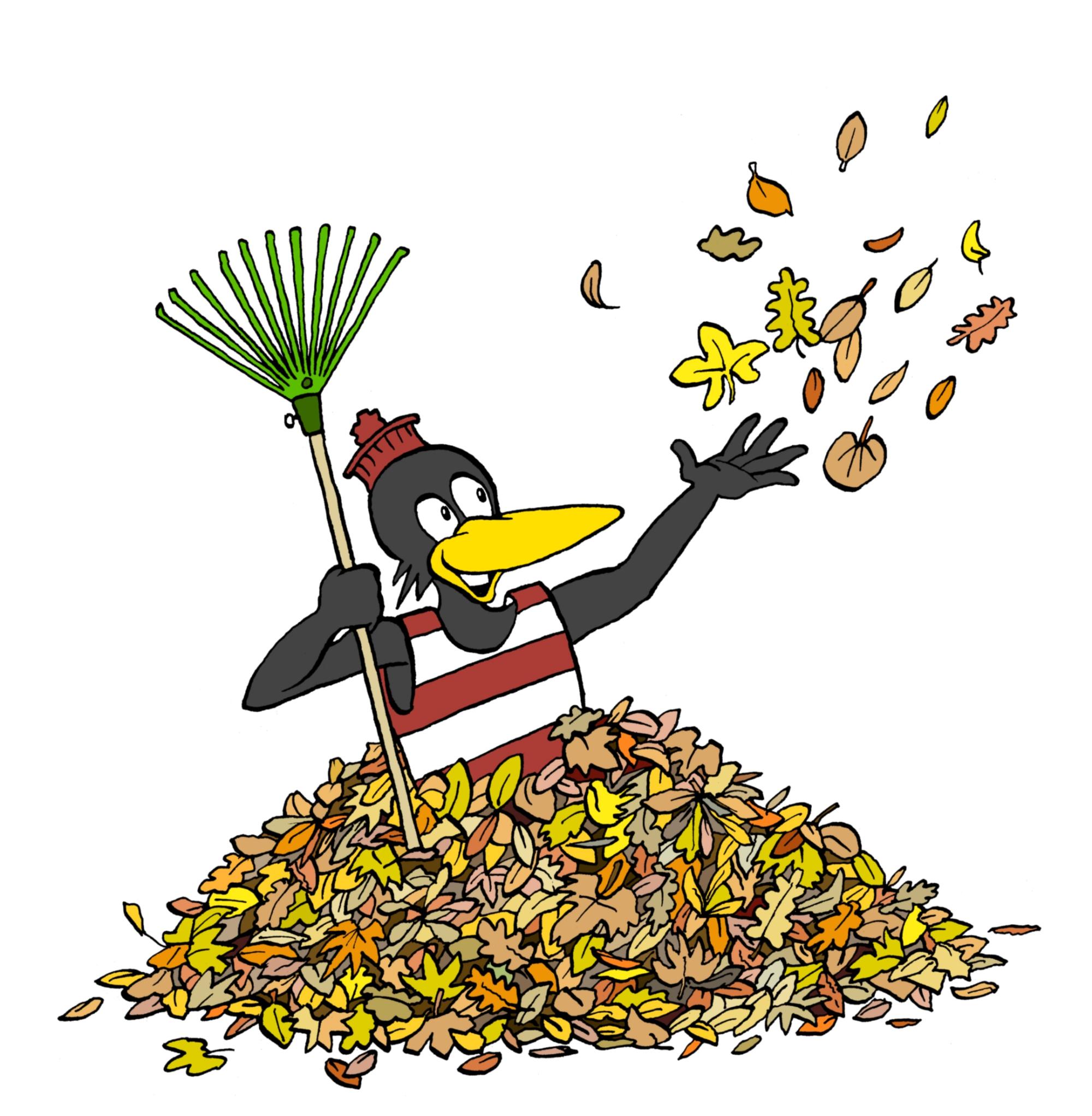 Fridolin_2024_Herbstlaub_4c_weissohne