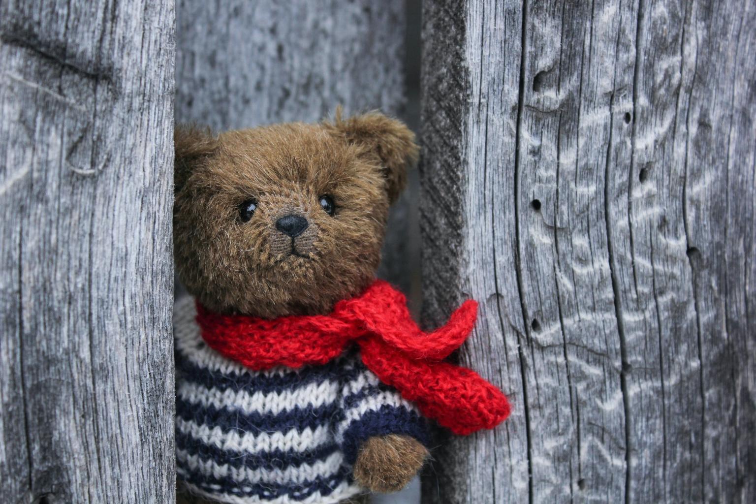 Teddy (c) Foto von Oxana Lyashenko auf Unsplash