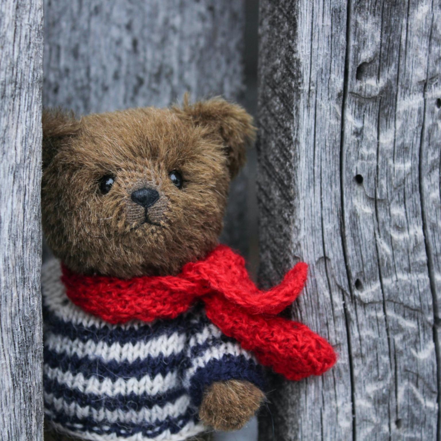 Teddy-Bär (c) Foto von Oxana Lyashenko auf Unsplash